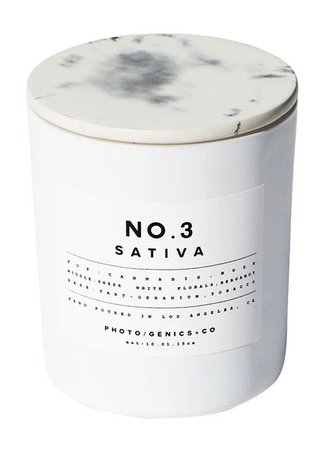 Photo/Genics + Co No.3 Sativa